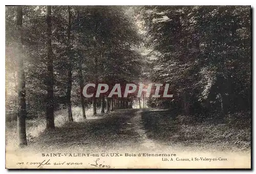 Cartes postales Saint Valery en Caux Bois d'Etennemare