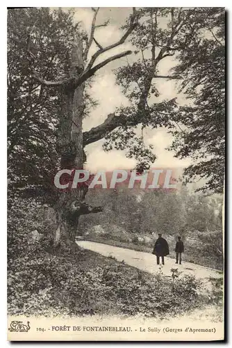 Ansichtskarte AK Foret de Fontainebleau Le Sully Gorges d'Apremont