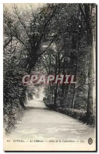 Cartes postales Epinal Le Chateau Allee de la Colombiere