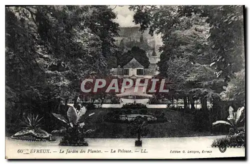 Ansichtskarte AK Evreux Le jardin des Plantes Le Pelouse