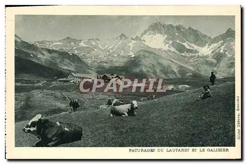 Ansichtskarte AK Paturages du Lautaret et le Galibier Vaches