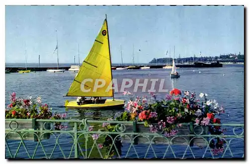 Cartes postales Regates Bateaux