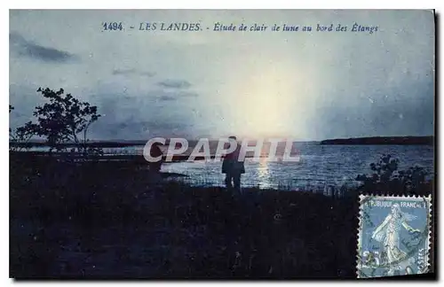 Cartes postales Les Landes Etude de clair de lune au bord des Etangs