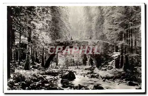 Cartes postales Gerardmer Le Pont des Fees