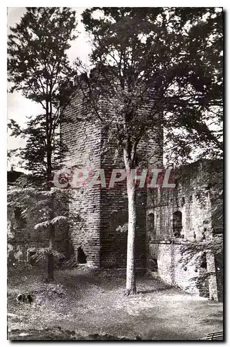 Cartes postales Wangenbourg Les Ruines Vue interieure