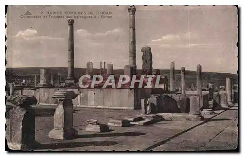 Cartes postales Ruines romaines de Timgad Colonades et Tribunes aux harangues du Forum