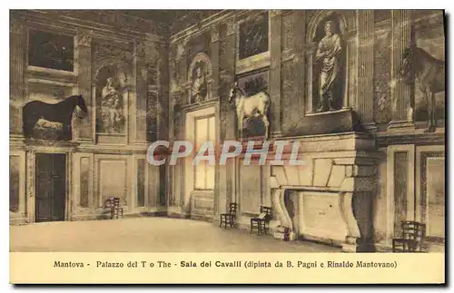 Cartes postales Mantova Palazzo Sala del Cavalli dipinta da B Pagni e Rinaldo Mantovano