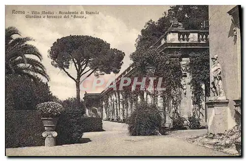 Ansichtskarte AK Roma Villa Medici Accademia di Francia Giardino e terrasso del Bosco