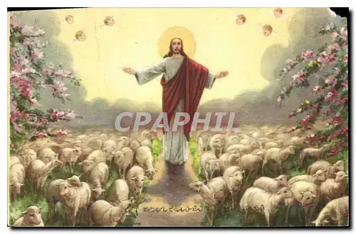 Cartes postales Christ Moutons