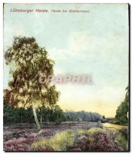 Cartes postales Luneburger Heide Heide bei Breitenhees