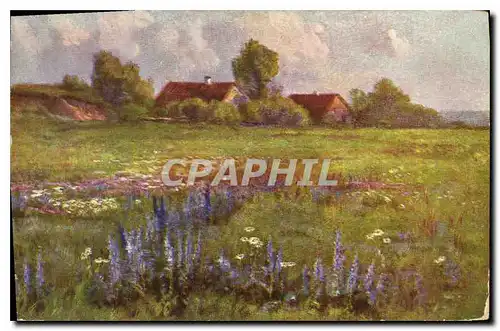 Cartes postales Paysage