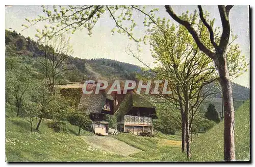 Cartes postales Maison