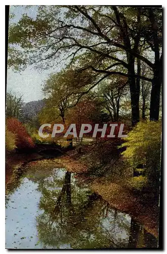 Cartes postales Dresden Grober Garten in Herbst