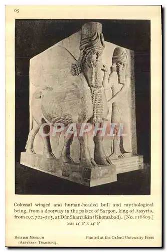 Cartes postales British Museum Assverian Transept Colossal winged and human headed bull and mythikigical being f