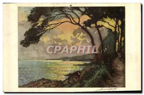 Cartes postales Bord de mer Arbres