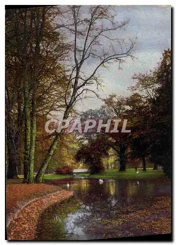 Cartes postales Dresden Grober Garten im Herost