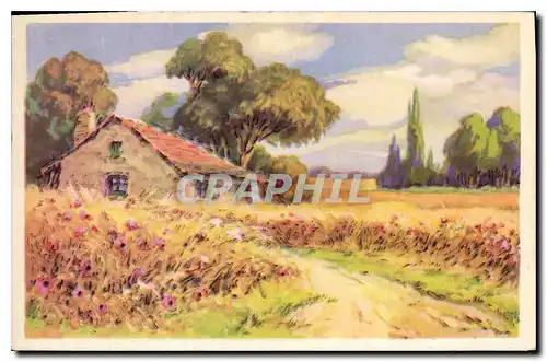 Cartes postales Paysage