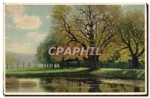 Cartes postales Arbre