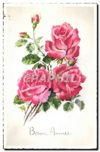 Cartes postales Bonne Annee Fleurs