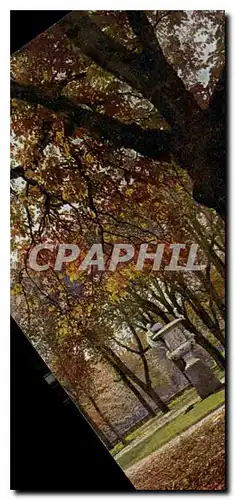 Cartes postales Dresden Grober im Herbst