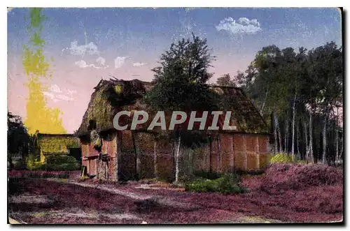 Cartes postales Maison