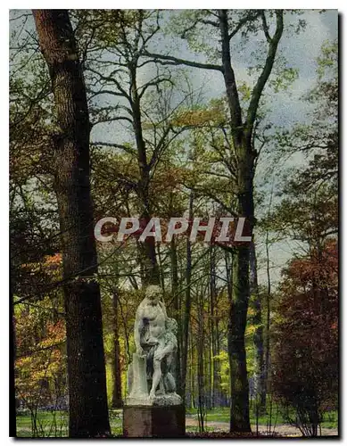 Cartes postales Dresden Grosser Garten im Herbst