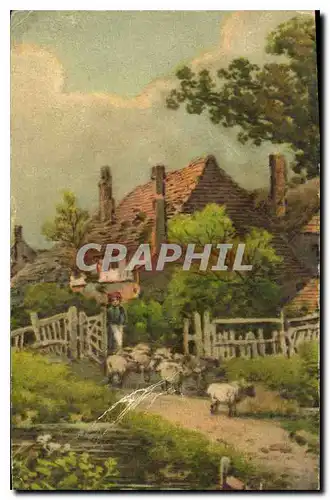 Cartes postales Maison Moutons