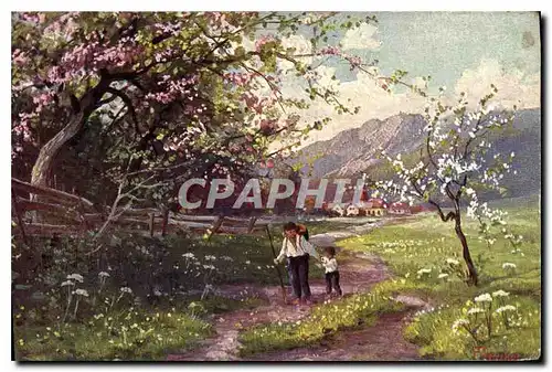 Cartes postales Arbres