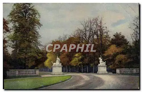Cartes postales Dresden Grosser Garten im Herbst
