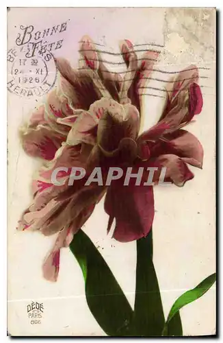 Cartes postales Bonne Fete Fleurs