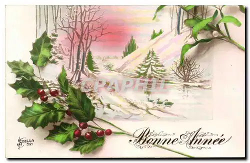 Cartes postales Bonne Annee Fleurs