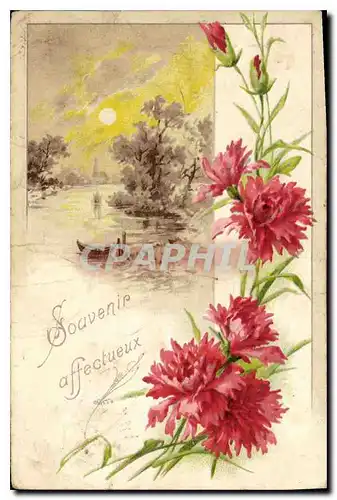 Cartes postales Souvenir Affectueux Fleurs