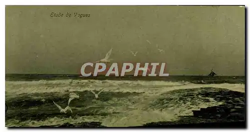 Cartes postales Etude de Vagues