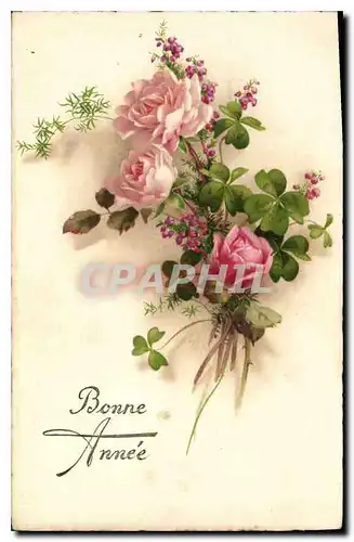 Cartes postales Bonne Annee Fleurs