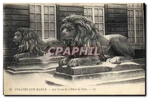 Ansichtskarte AK Chalons sur Marne Les Lions de l'Hotel de Ville Lion