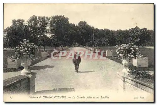 Ansichtskarte AK Chateau de Chenonceaux La Grande Allee et les Jardins