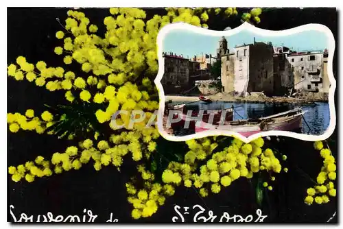 Cartes postales Souvenir de St Tropez La Cote d'Azur