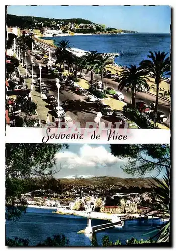 Cartes postales Souvenir de Nice