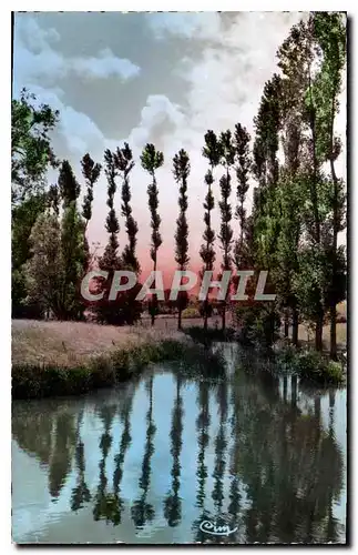 Cartes postales Charny Yonne L'Ouanne a l'Erable