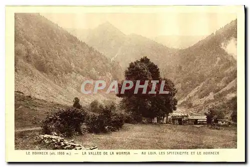 Cartes postales Le Hohneck La Vallee de la Wormsa Au Lion les Spitkoepfe et le Hohneck
