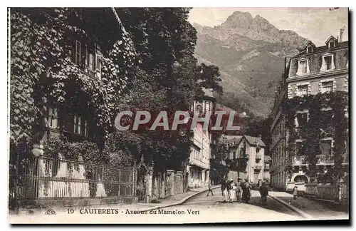 Cartes postales Cauterets Avenue du Mamelon Vert