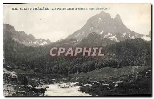 Cartes postales Les Pyrenees le Pic du Midi d'Ossau