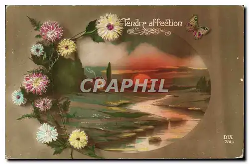 Cartes postales Tendre Affection Papillon