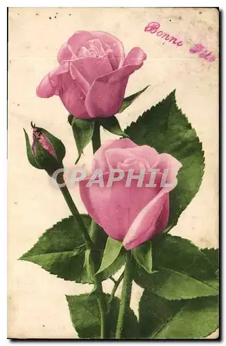 Cartes postales Bonne Fete Fleurs