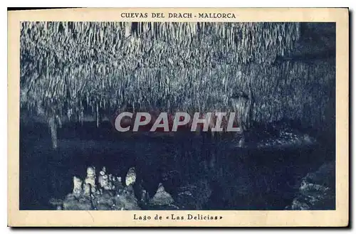 Ansichtskarte AK Cuevas del Drach Mallorca Lago de Las Delicias