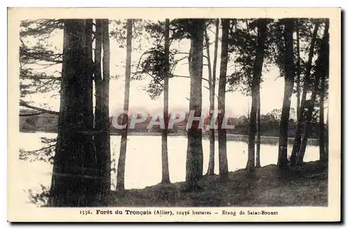 Cartes postales Foret du Troncais Allier Etang de Saiat Bonnet