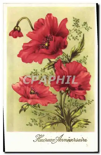 Cartes postales Heureux Anniversaire Fleurs