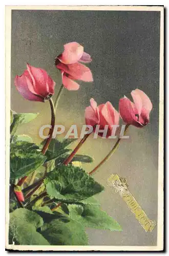 Cartes postales Bonne fete Fleurs