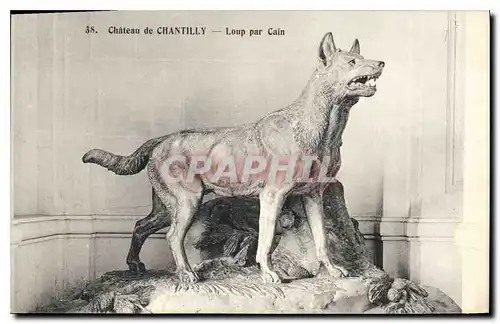 Ansichtskarte AK Chateau de Chantilly Loup par Cain