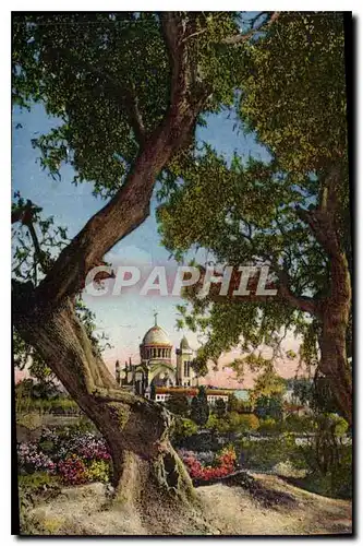Cartes postales Alger Notre Dame d'Afrique Vue prise de la Vallee des Consuls